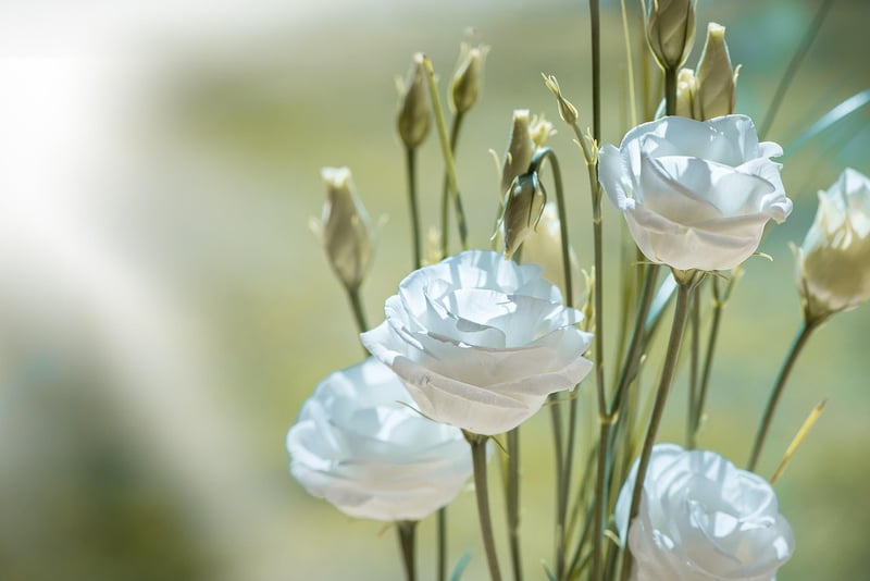 Botanical Elegance